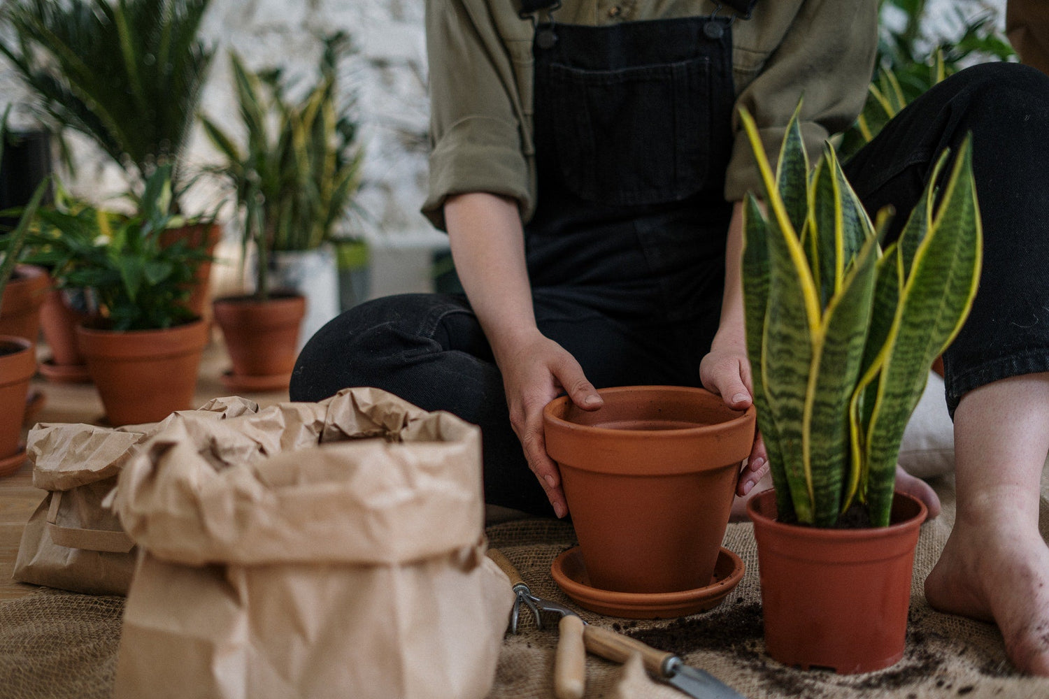 Planters & Pots