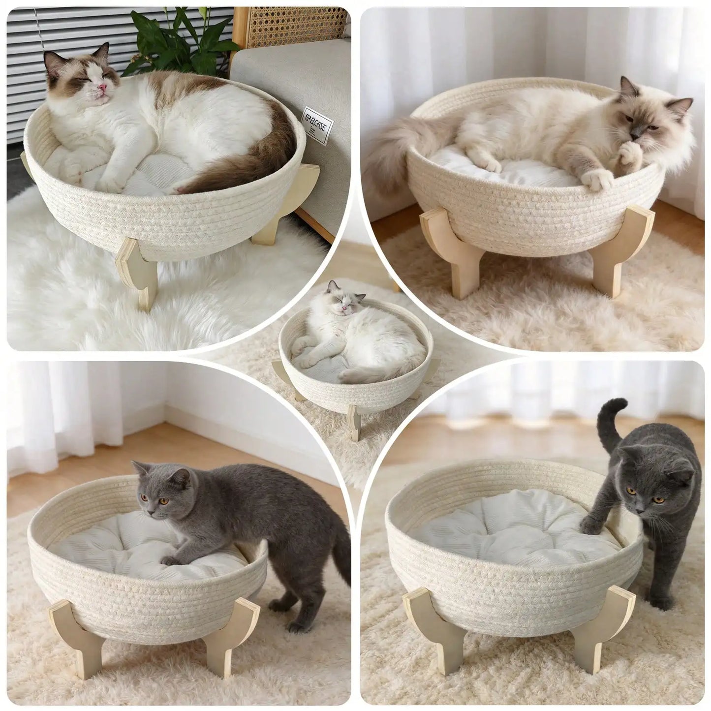 Raised Wooden Cat Bed Sofa with Fluffy Cushion, Elevated Pet Couch Lounge Chair for Indoor Cats, Puppies and Small Pets