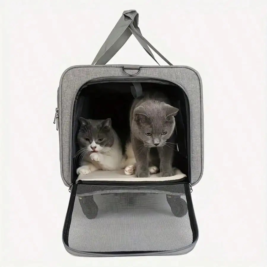 Airline Compliant Rolling Cat Dog Carrier Detachable Wheels Adjustable Telescopic Handle Travel Bag