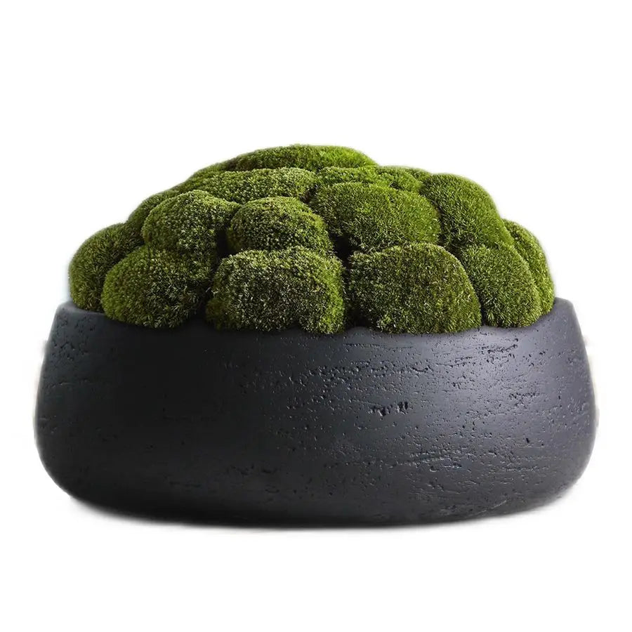 amp Rose Copenhagen Large Ceramic Planter Bowl Shallow Plant Pot Matt Black Flower Pot Indoor and Outdoor Garden Decor