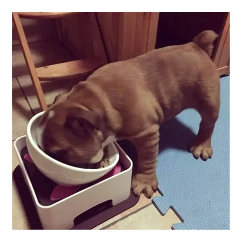 Dog Supplies Dogs Accessories Bulldog Bowl Dog Feeding Bowl Dog Dish Wide Mouth Pet Sterile Tilted Pet Feeder With Anti Skid Rub