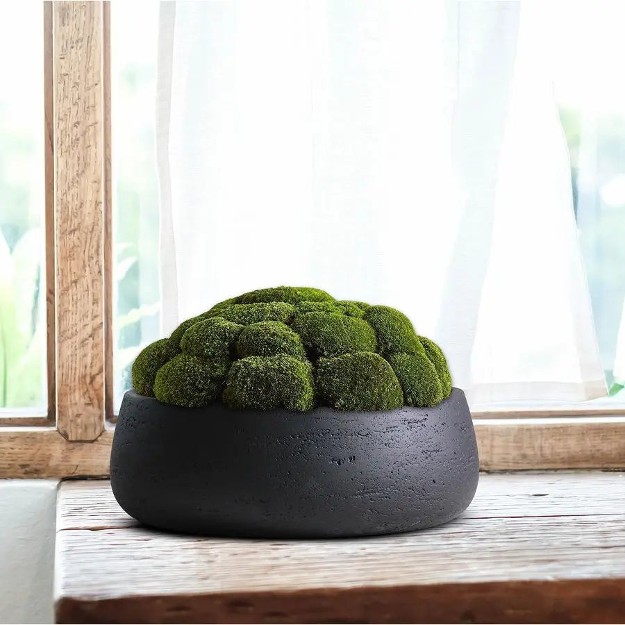 amp Rose Copenhagen Large Ceramic Planter Bowl Shallow Plant Pot Matt Black Flower Pot Indoor and Outdoor Garden Decor