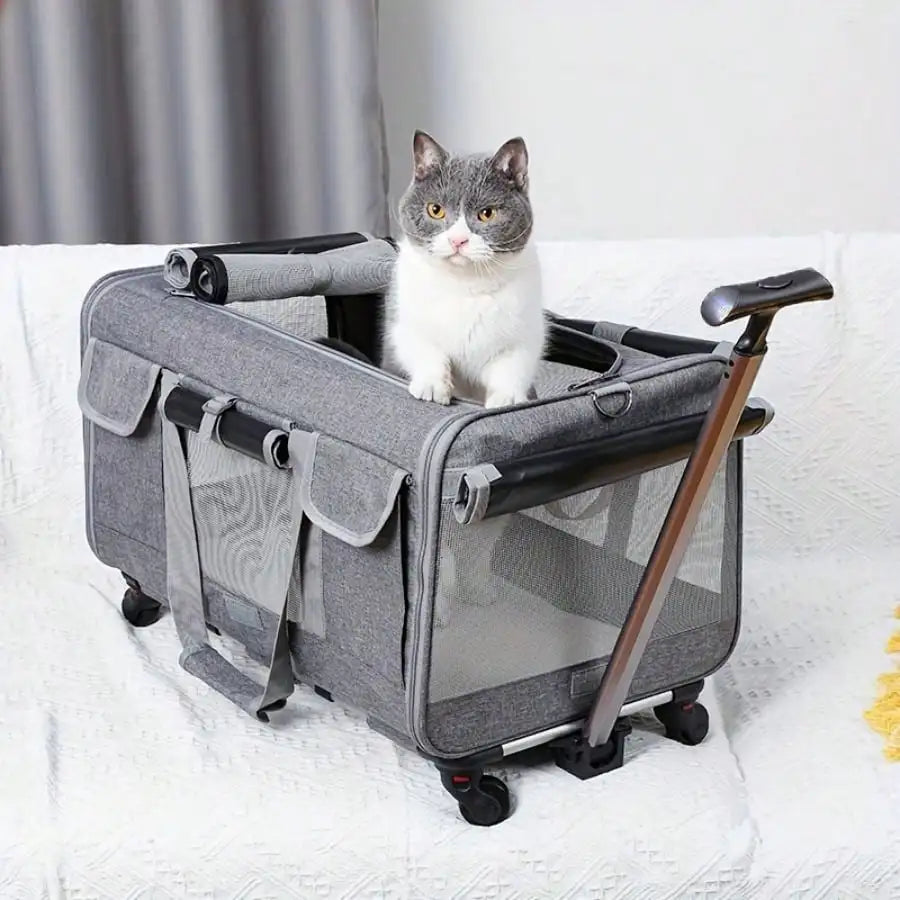 Airline Compliant Rolling Cat Dog Carrier Detachable Wheels Adjustable Telescopic Handle Travel Bag