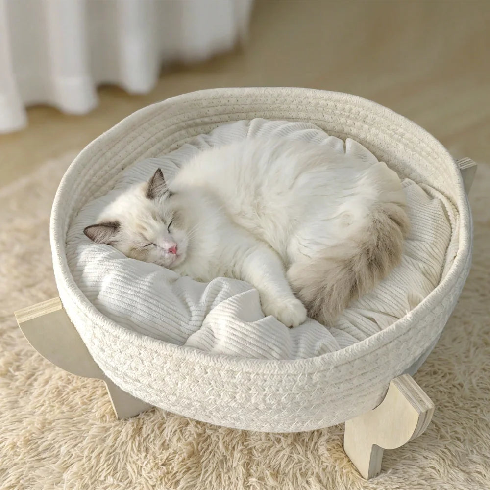 Raised Wooden Cat Bed Sofa with Fluffy Cushion, Elevated Pet Couch Lounge Chair for Indoor Cats, Puppies and Small Pets
