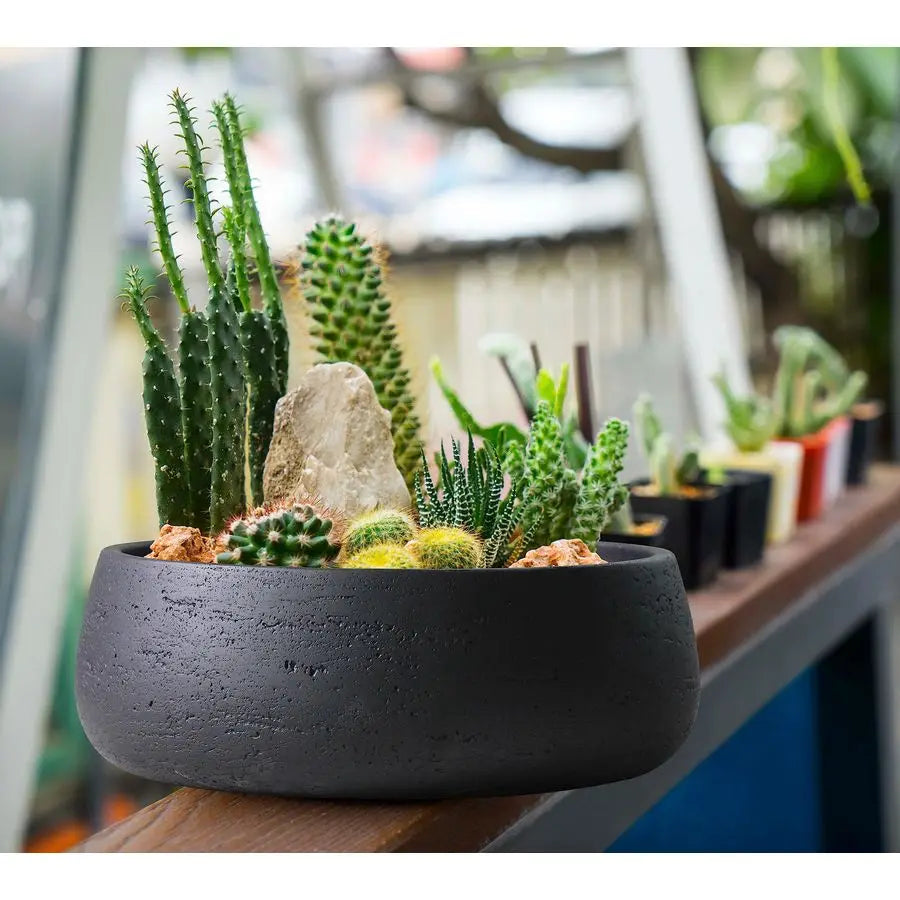 amp Rose Copenhagen Large Ceramic Planter Bowl Shallow Plant Pot Matt Black Flower Pot Indoor and Outdoor Garden Decor